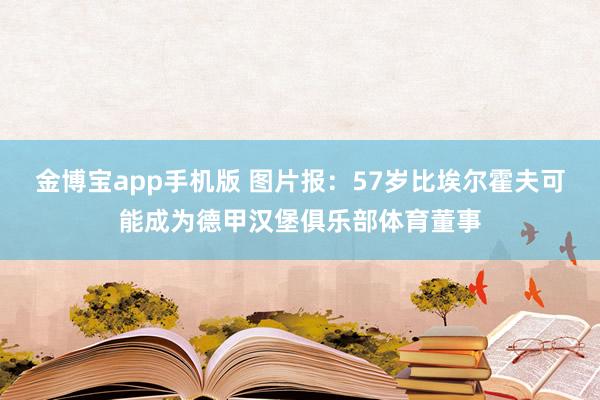 金博宝app手机版 图片报：57岁比埃尔霍夫可能成为德甲汉堡俱乐部体育董事