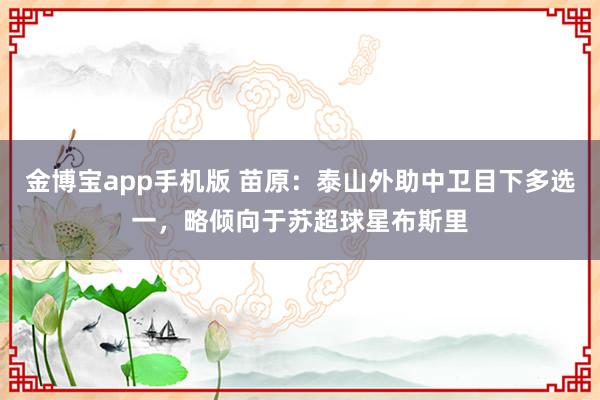 金博宝app手机版 苗原：泰山外助中卫目下多选一，略倾向于苏超球星布斯里
