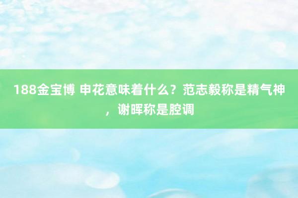 188金宝博 申花意味着什么？范志毅称是精气神，谢晖称是腔调