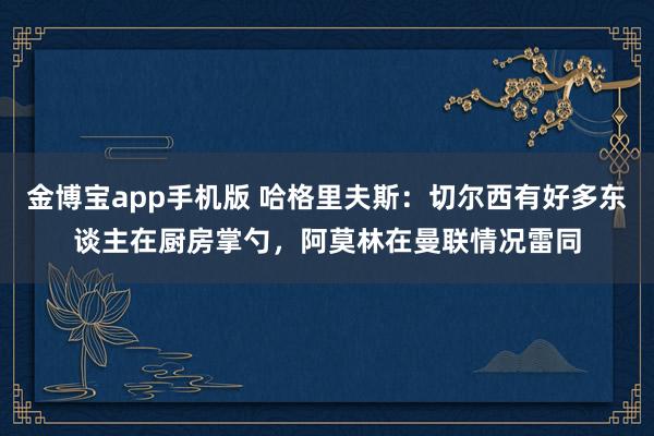 金博宝app手机版 哈格里夫斯:切尔西有好多东谈主在厨房掌勺,阿莫林在曼联情况雷同