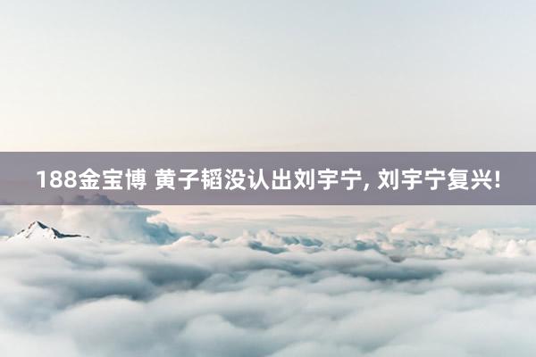 188金宝博 黄子韬没认出刘宇宁， 刘宇宁复兴!