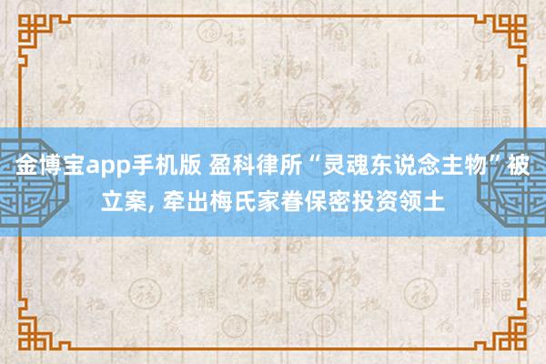 金博宝app手机版 盈科律所“灵魂东说念主物”被立案， 牵出梅氏家眷保密投资领土
