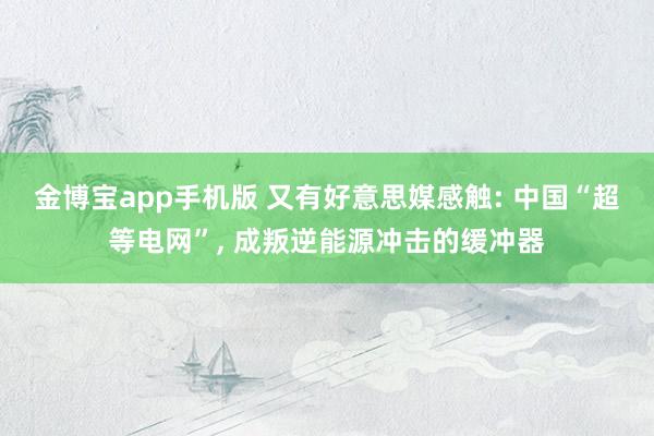 金博宝app手机版 又有好意思媒感触: 中国“超等电网”， 成叛逆能源冲击的缓冲器