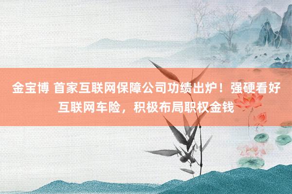 金宝博 首家互联网保障公司功绩出炉！强硬看好互联网车险，积极布局职权金钱