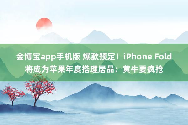 金博宝app手机版 爆款预定！iPhone Fold将成为苹果年度搭理居品：黄牛要疯抢