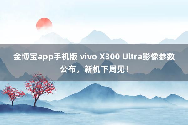 金博宝app手机版 vivo X300 Ultra影像参数公布，新机下周见！