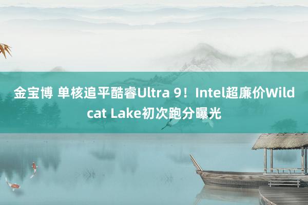 金宝博 单核追平酷睿Ultra 9！Intel超廉价Wildcat Lake初次跑分曝光