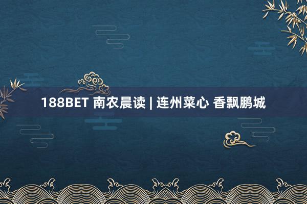 188BET 南农晨读 | 连州菜心 香飘鹏城