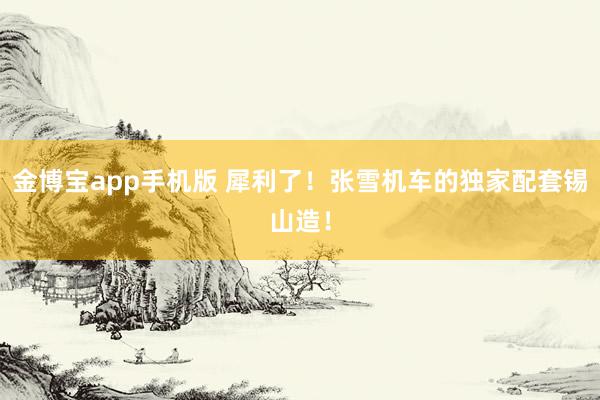 金博宝app手机版 犀利了！张雪机车的独家配套锡山造！