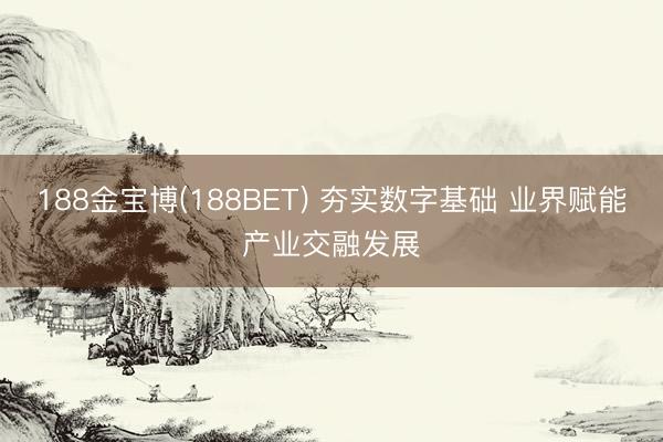 188金宝博(188BET) 夯实数字基础 业界赋能产业交融发展