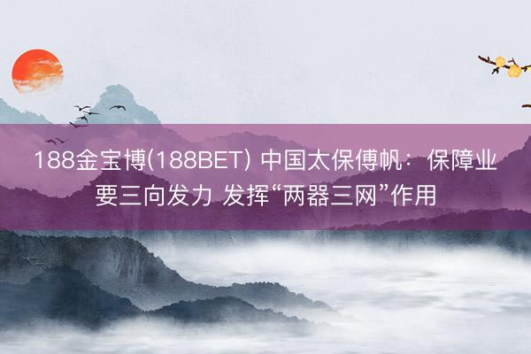 188金宝博(188BET) 中国太保傅帆：保障业要三向发力 发挥“两器三网”作用