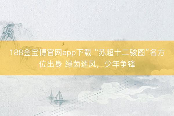 188金宝博官网app下载 “苏超十二骏图”名方位出身 绿茵逐风，少年争锋