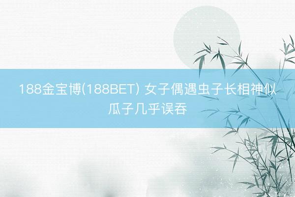 188金宝博(188BET) 女子偶遇虫子长相神似瓜子几乎误吞