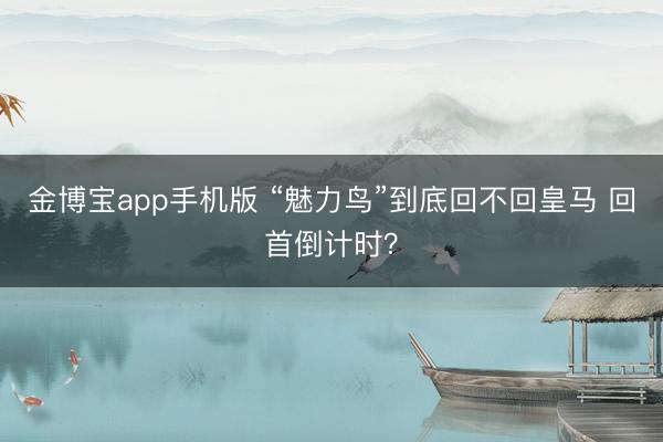金博宝app手机版 “魅力鸟”到底回不回皇马 回首倒计时？