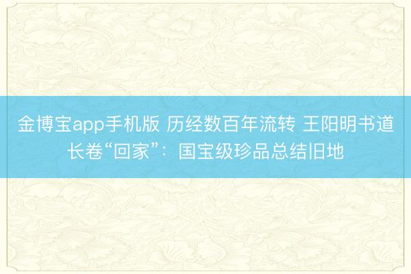 金博宝app手机版 历经数百年流转 王阳明书道长卷“回家”：国宝级珍品总结旧地