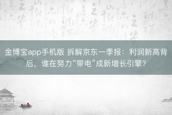 金博宝app手机版 拆解京东一季报：利润新高背后，谁在努力“带电”成新增长引擎？