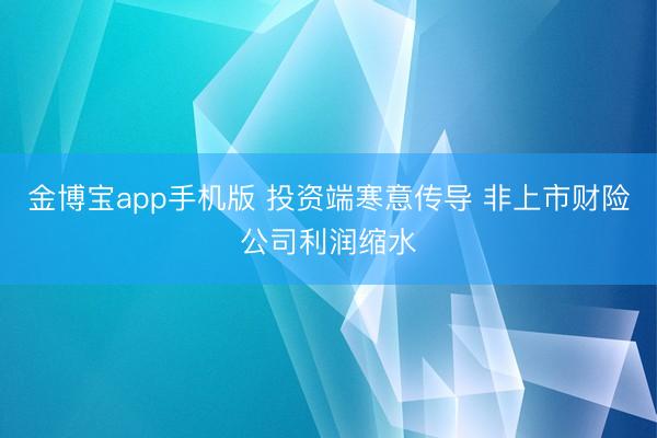金博宝app手机版 投资端寒意传导 非上市财险公司利润缩水