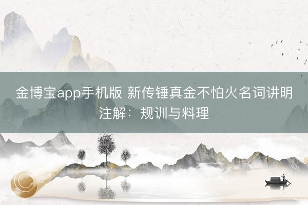 金博宝app手机版 新传锤真金不怕火名词讲明注解：规训与料理