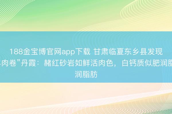 188金宝博官网app下载 甘肃临夏东乡县发现“羊肉卷”丹霞：赭红砂岩如鲜活肉色，白钙质似肥润脂肪