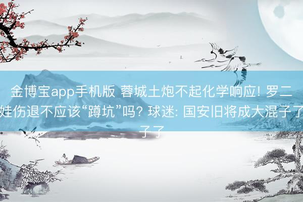 金博宝app手机版 蓉城土炮不起化学响应! 罗二娃伤退不应该“蹲坑”吗? 球迷: 国安旧将成大混子了