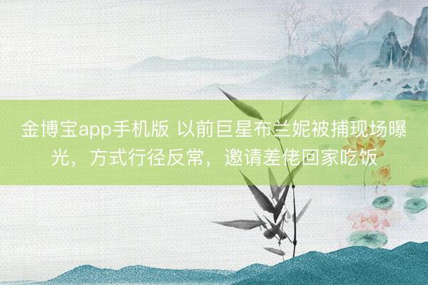 金博宝app手机版 以前巨星布兰妮被捕现场曝光，方式行径反常，邀请差佬回家吃饭