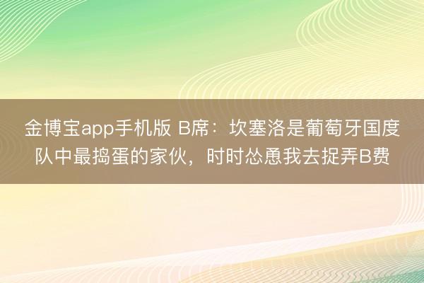 金博宝app手机版 B席：坎塞洛是葡萄牙国度队中最捣蛋的家伙，时时怂恿我去捉弄B费