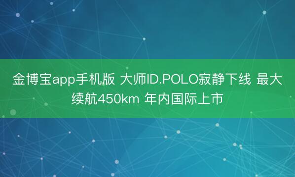 金博宝app手机版 大师ID.POLO寂静下线 最大续航45