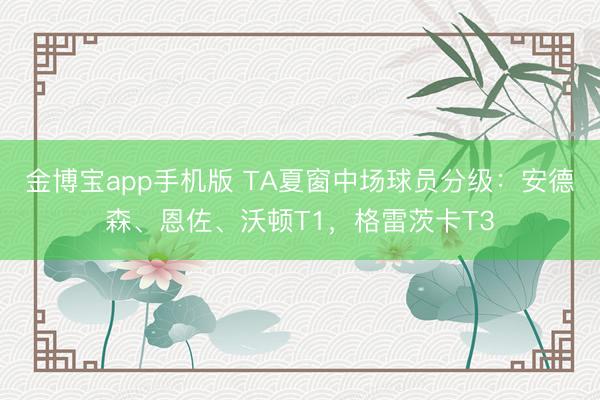 金博宝app手机版 TA夏窗中场球员分级：安德森、恩佐、沃顿T1，格雷茨卡T3