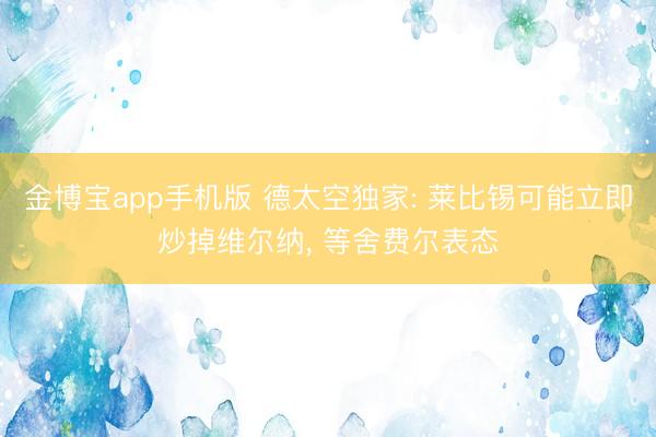 金博宝app手机版 德太空独家: 莱比锡可能立即炒掉维尔纳， 等舍费尔表态