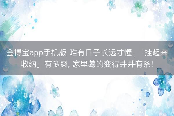 金博宝app手机版 唯有日子长远才懂, 「挂起来收纳」有多爽, 家里蓦的变得井井有条!